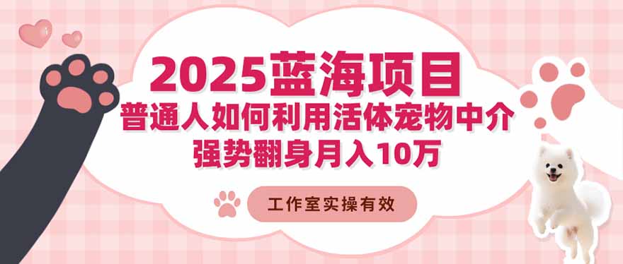 2025蓝海项目：普通人如何利用活体宠物中介，强势翻身月入10万-千帆创业