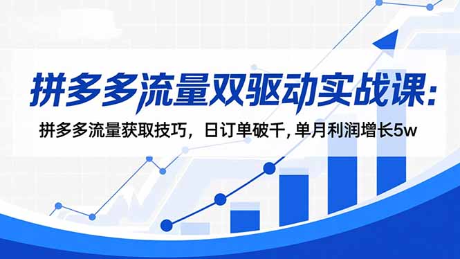 拼多多流量双驱动实战课：拼多多流量获取技巧，日订单破千,单月利润增长5w-千帆创业