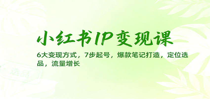 小红书IP变现课：6大变现方式，7步起号，爆款笔记打造，定位选品，流量增长-千帆创业